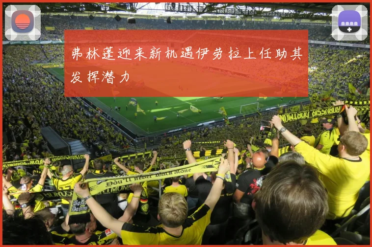 弗林蓬迎来新机遇伊劳拉上任助其发挥潜力