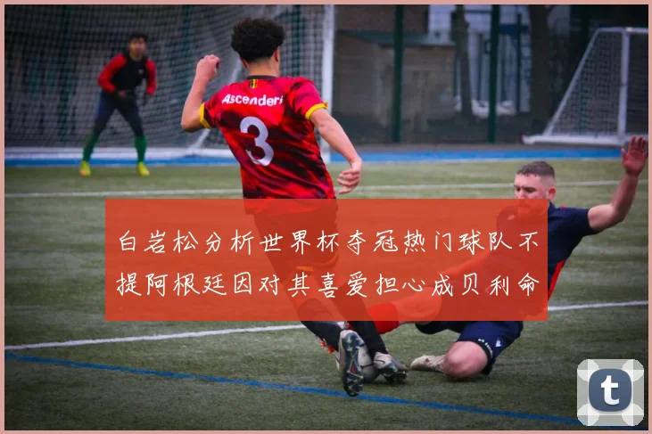 白岩松分析世界杯夺冠热门球队不提阿根廷因对其喜爱担心成贝利命运